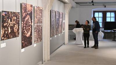 Dvojezična razstava v Skladišču 26 Starega pristanišča je del Interreg projekta Interreg Kras - Carso II