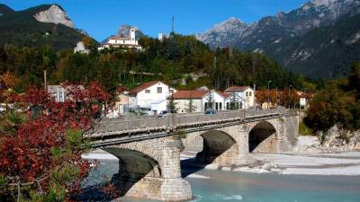 Možnica (WIKIPEDIA)