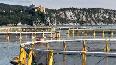 Ribogojnice pod devinskim gradom (FOTODAMJ@N)