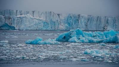 Arktični led (RENATA GIULIA LUCCHI/OGS)