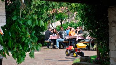 Šopek bršljanovih vej je, ob seznamu odprtih osmic v Primorskem dnevniku, najbolj tradicionalna »reklama« za vinotoče (ARHIV)