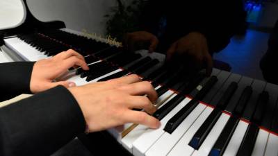 Študij klavirja je med najbolj priljubljenimi (FOTODAMJ@N)