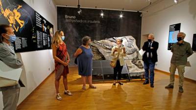 V Naravoslovnem muzeju so predstavili nove paleontološke najdbe (FOTODAMJ@N)