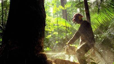 Rudarstvo med drugim prinaša krčenje gozdov (ANSA)