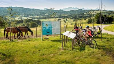 Turistična ponudba na področju kolesarstva in konjeništva je dokaj razvita (WWW.PLANOTA.SI)