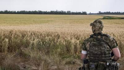 Ruski vojak straži žitno polje v bližini okupiranega Melitopola na jugu Ukrajine (ANSA)