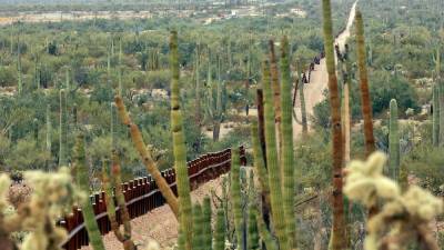 Kaktusi v Mehiki (AP)