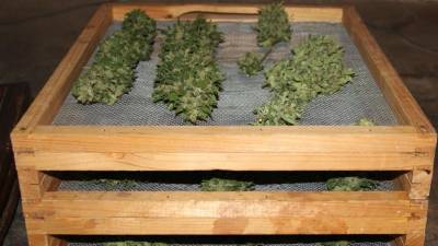 Del zaseženega blaga (PU NOVA GORICA)