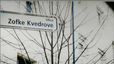 Ulica, poimenovana po pisateljici Zofki Kveder