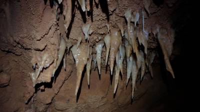 Nepoškodovani stalaktiti