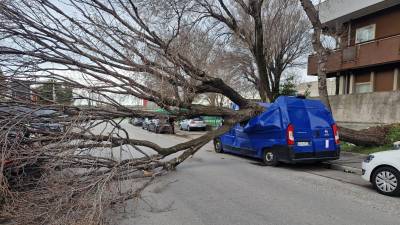 Nezgoda v industrijski coni pri Domju (FOTODAMJ@N)