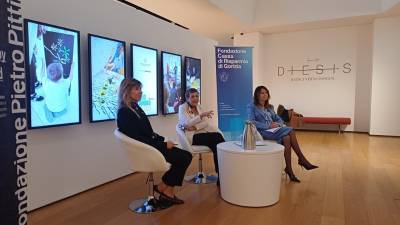 Predstavitev projekta (D.R.)