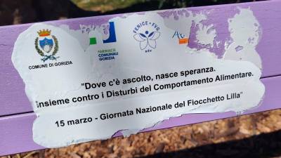 Poškodovana lila klop v goriškem Ljudskem vrtu (OBČINA GORICA)