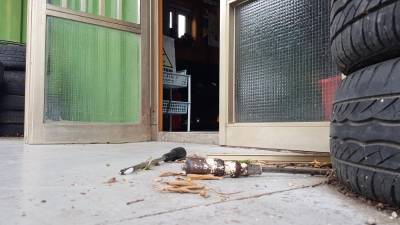 Izvijača pred pisarno avtoodpada na Jeremitišču (FOTO D.R.)