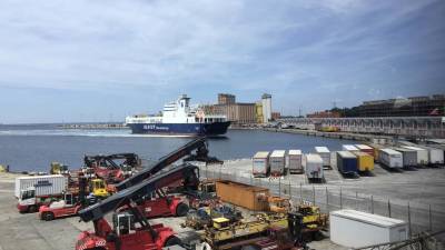 Necepljene posameznike bi testirali kar v pristanišču