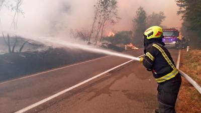 Četrtkovo gašenje požara blizu Kostanjevice na Krasu (DANIJEL CEK, PRIMORSKE NOVICE)