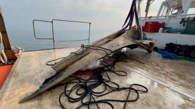 Z morskega dna pred Miramarom so rešili še lobanjo brazdastega kita, ki se je avgusta 2024 zagozdil v Miljah in nato poginil (MIRAMARSKI NARAVNI REZERVAT/SAUL CIRIACO/TOMMASO DE LORENZI)