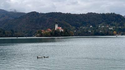 Bled je med tujimi turisti zelo priljubljen (VONCI)