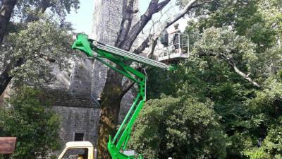 Delavci so se do visokih vej dvignili s kamionskim dvigalom