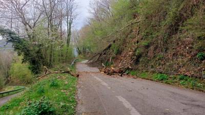 Na cestišče je padlo več zlomljenih vej in dreves (CIVILNA ZAŠČITA)