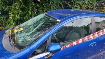 Posledice toče julija 2023 v Gorici (BUMBACA)