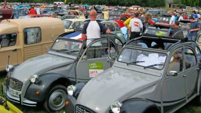 Tako je videti prizorišče na srečanju ljubiteljev spačkov (VENČESLAV JAPELJ)