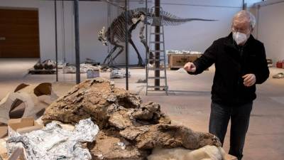 ZOIC je edino podjetje v Italiji, ki se ukvarja z restavriranjem in sestavljanjem velikih okostij dinozavrov, na fotografiji direktor Filippo Bacchia (FOTODAMJ@N