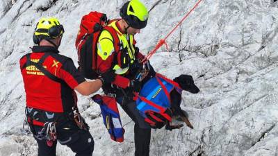 Gorski reševalci ne rešujejo le ljudi (GRZS)