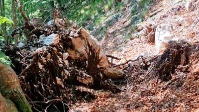 Prizorišče nesreče (LETALSKA POLICIJSKA ENOTA)