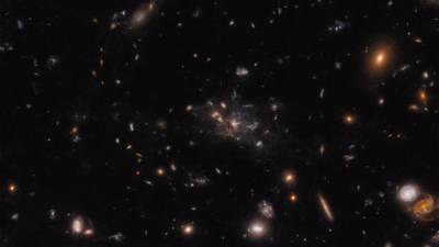 Proto-jata okoli galaksije Spiderweb; večji del mase predstavlja plin (ESO/H.FORD)