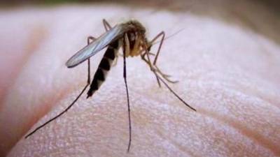 Pri omejevanju števila komarjev oz. preprečevanju njihovega razmnoževanja pa sta pomembna tudi previdnost in ravnanje posameznega občana