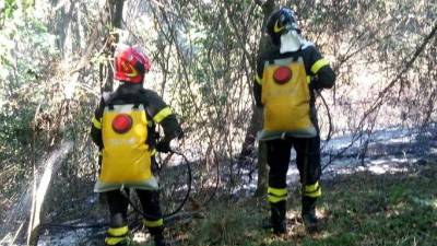 Gasilci se proti zubljem borijo tudi v Reziji in Podbonescu (fotografija je simbolična)