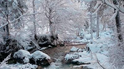 Dolina Zajzera (SEISERA HUTTE/FACEBOOK)