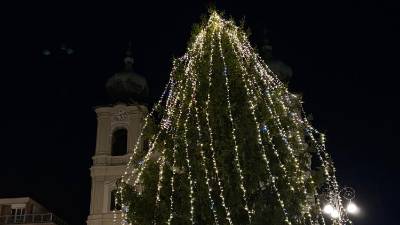 Lansko božično drevo (P.C.)