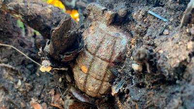 Med izkopavanjem na gradbišču na Opčinah so delavci našli ročno bombo, ki je bila zagozdena v drevesu (POLICIJA)