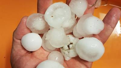 Toča, ki je 24. julija padla v Štandrežu