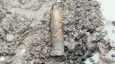 Najdba na grajskem griču (FOTO: OBČINA GORICA)