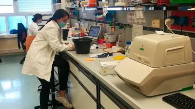 Laboratorij ICGEB za kardiovaskularno biologijo