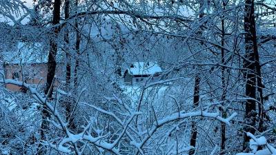 Tako je bilo včeraj na Lokvah (MESTNA OBČINA NOVA GORICA/FACEBOOK)