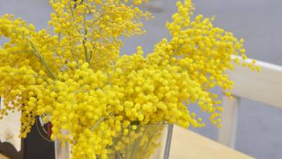 Fotografija je simbolična (ARHIV)