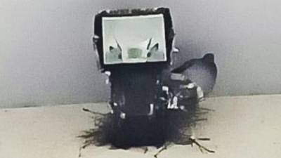 Gnezdo goloba nad oknom vrtca