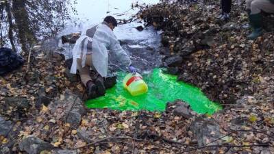 Vlitje fluorescina in raziskovanje požiralnika Doberdobskega jezera (DUILIO COBOL, VALENTINA BELLOTTO, LORETTA CRESTANI)