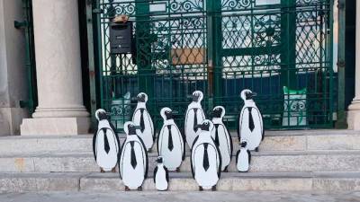 Pingvini pred vhodom v tržaški akvarij (M.K.)