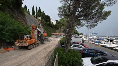 Zaradi sanacije parkirišča ob grljanskem portiču je že »padlo« več dreves (FOTODAMJ@N)