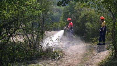 Na Palkišču bodo v nedeljo zbirali opremo za gasilce, ki se na Krasu borijo proti požaru