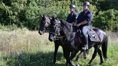 Konjeniška enota, ki po novem deluje na tržaškem krasu (FOTODAMJ@N)