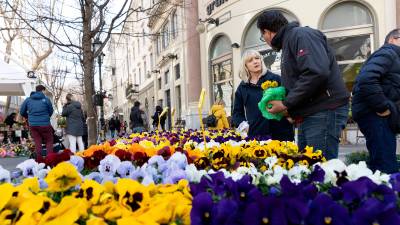 Sejem Trieste in fiore (ARHIV)
