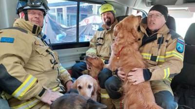 Ekipa reševalnih psov z lastniki (ROMAN STARMAN)