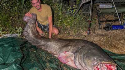 Ribič z 247 centimetrov dolgim somom (RD RENČE)