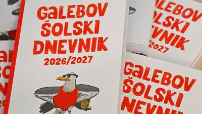 Naslovnico Galebovega šolskega dnevnika krasi podoba galeba, oblečenega za na plažo